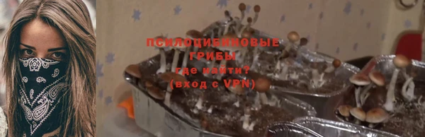 дурь Строитель