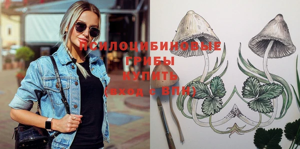 дурь Строитель