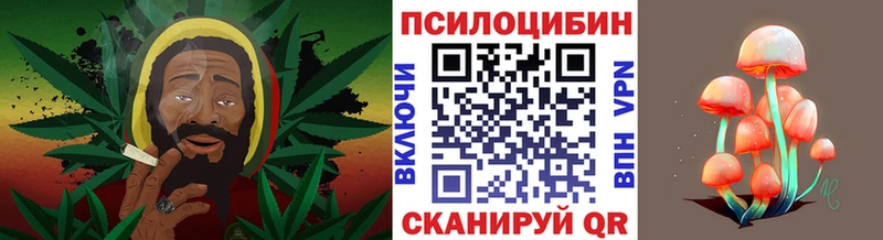 Купить  Новоаннинский  Галлюциногенные грибы Cubensis 